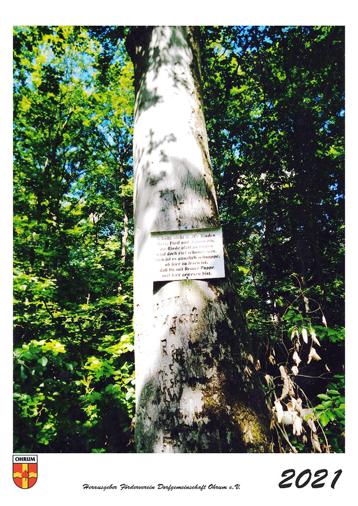 Kalenderdeckblatt